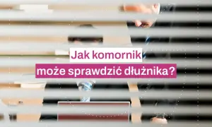 Komornik a KRD: Kto wpisuje dłużnika? Poznaj prawdę!