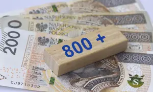 Drewniany klocek z napisem "800+" leży na polskich banknotach 200 zł.