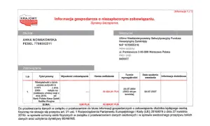 Jak wpisać dłużnika do KRD i uniknąć błędów w procesie