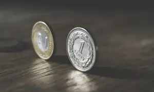 Monety na drewnianym blacie. Zastanawiasz się, ile to netto, gdy zarabiasz 6500 zł brutto?