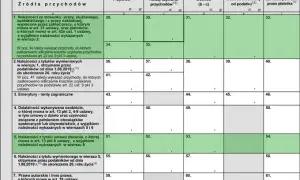 Jak rozliczyć emeryturę zagraniczną w PIT-11 i uniknąć problemów