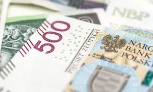 800 plus do 25 roku życia: Prawda czy mit? Alternatywy