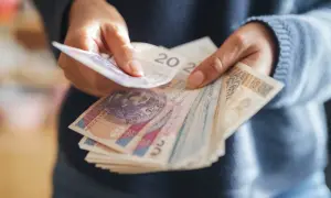 Ręce liczą polskie banknoty. Dyskusja na forum: emerytura z OFE po 65 roku życia.