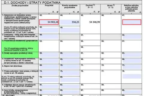 Jak rozliczyć podatek z Holandii w Polsce i uniknąć problemów?