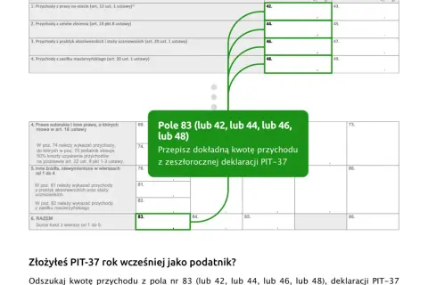 Gdzie sprawdzić rozliczenie PIT? Odkryj, jak uniknąć błędów w deklaracji