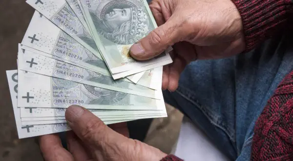 Ręce trzymające polskie banknoty. Zastanawiasz się, jaka emerytura przy zarobkach 7000 brutto?
