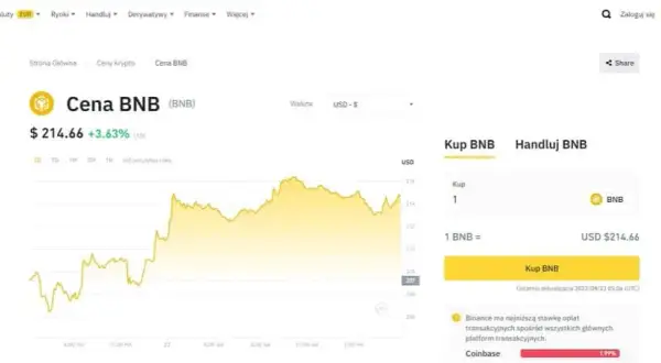 Najpopularniejsze kryptowaluty: które z nich przyniosą zyski?