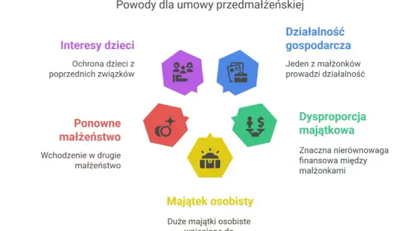 Diagram przedstawia powody zawarcia intercyzy: interesy dzieci, ponowne małżeństwo, majątek osobisty, działalność gospodarczą i dysproporcję majątkową.