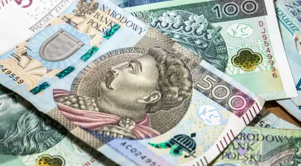 Ile kosztuje 500 plus rocznie? Zaskakujące wydatki dla budżetu