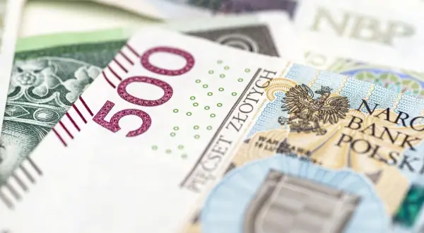 800 plus do 25 roku życia: Prawda czy mit? Alternatywy