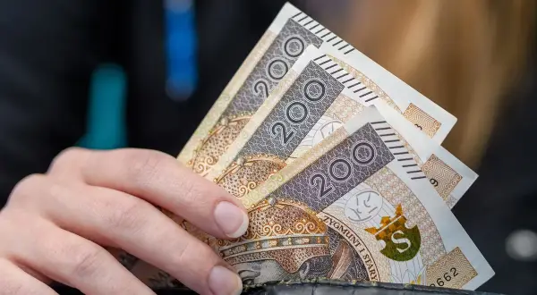 Dłoń trzyma banknoty 200 zł. Może to symbolizować wsparcie finansowe, np. stały zasiłek dla bezrobotnych po 50 roku życia.