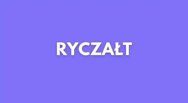 Czy ryczałt się opłaca? Sprawdź, kiedy warto go wybrać i zyskać więcej