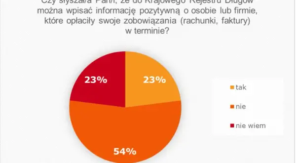 Jak działa Krajowy Rejestr Długów i co musisz wiedzieć, aby uniknąć problemów