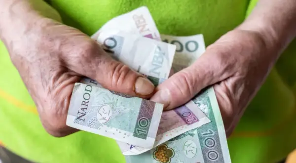Dłonie trzymają polskie banknoty. To może być pomoc z tytułu renta socjalna.