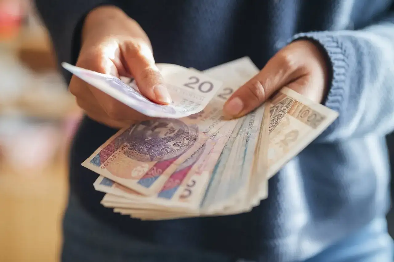 Ręce liczą polskie banknoty. Dyskusja na forum: emerytura z OFE po 65 roku życia.