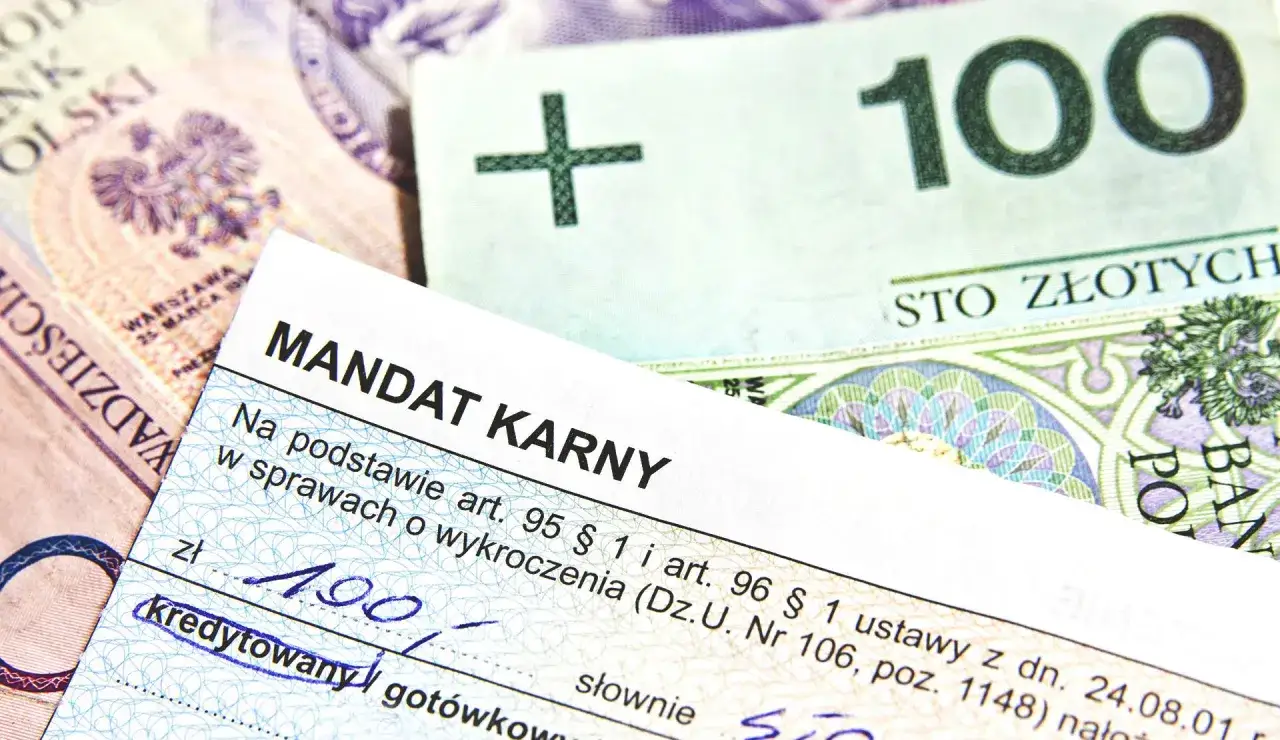 Mandat karny na 100 złotych leży na banknotach.