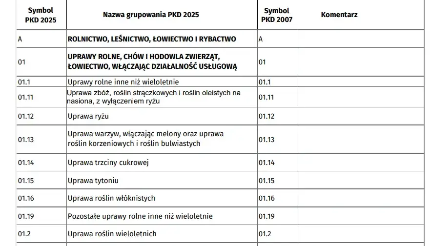 Polska Klasyfikacja Działalności dokument